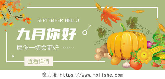 金色的秋天丰收的季节手绘蔬菜九月你好手机海报